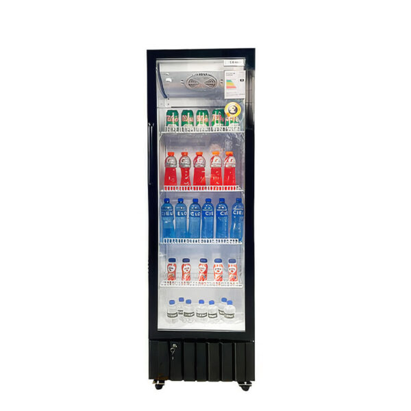 Visicooler EVC-290FR